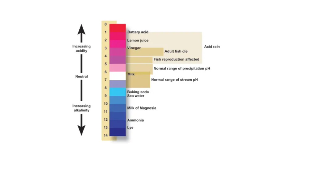 The Carbon Cycle and Ocean Acidification The - slide 4 of 9