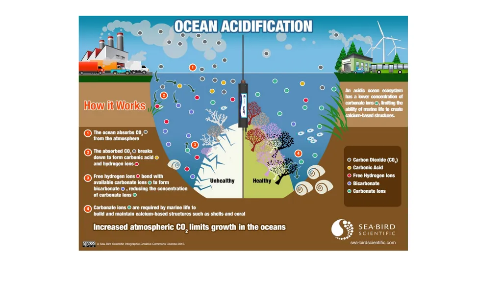 The Carbon Cycle and Ocean Acidification The - slide 7 of 9