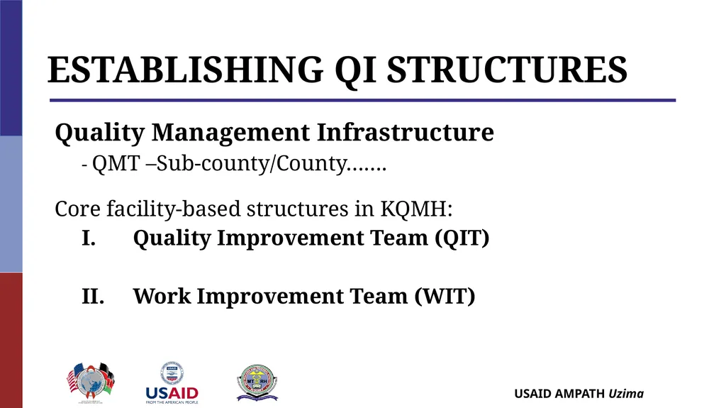 Establishing QI Structures QUALITY IMPROVEMENT - slide 4 of 35