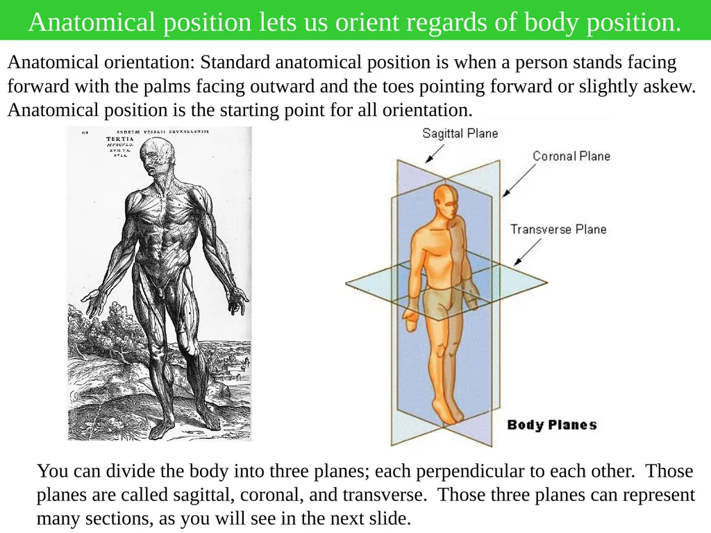 Hi Everyone, I will often provide pre-lecture - slide 4 of 6