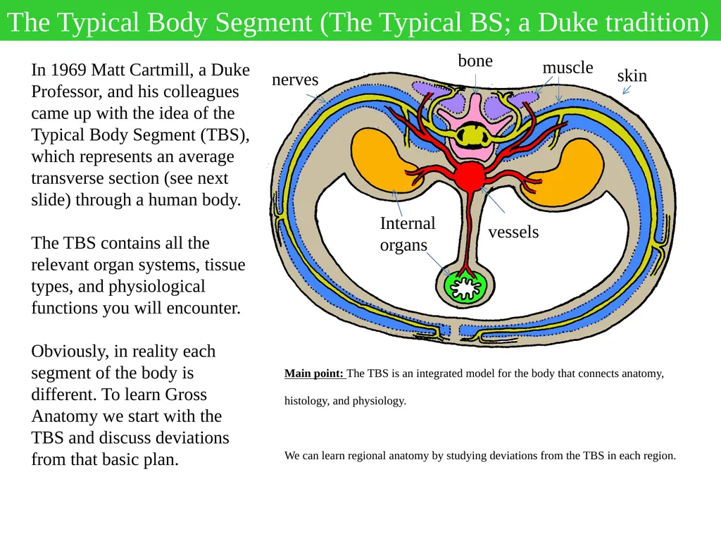 Hi Everyone, I will often provide pre-lecture - slide 2 of 6