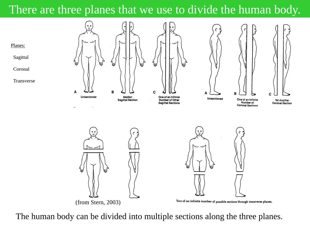 Hi Everyone, I will often provide pre-lecture - slide 5 of 6