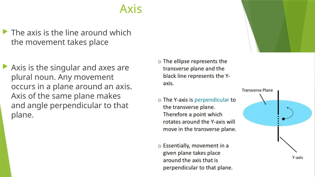 Axis and Plane Dr. Subhas Chandra Nandi Anatomical - slide 13 of 15