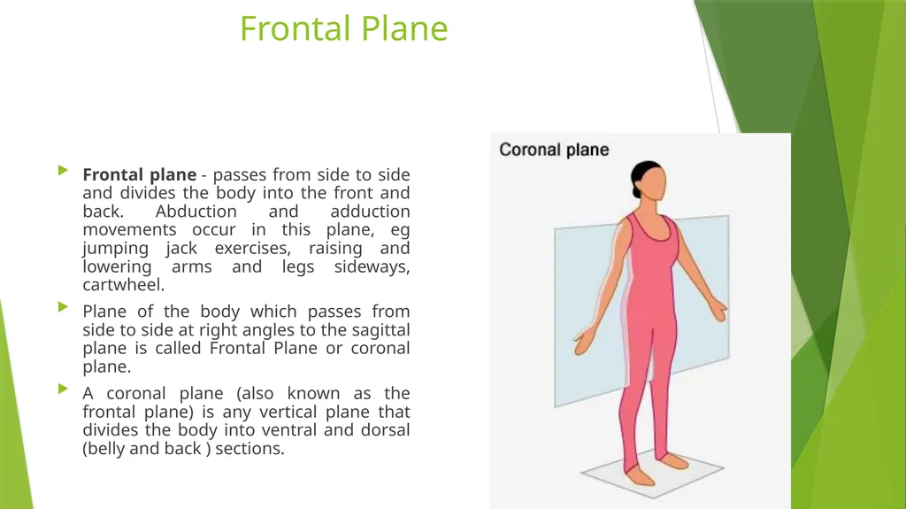 Axis and Plane Dr. Subhas Chandra Nandi Anatomical - slide 10 of 15