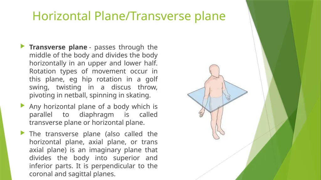 Axis and Plane Dr. Subhas Chandra Nandi Anatomical - slide 7 of 15