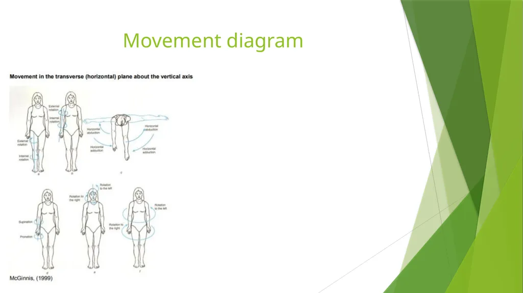 Axis and Plane Dr. Subhas Chandra Nandi Anatomical - slide 9 of 15