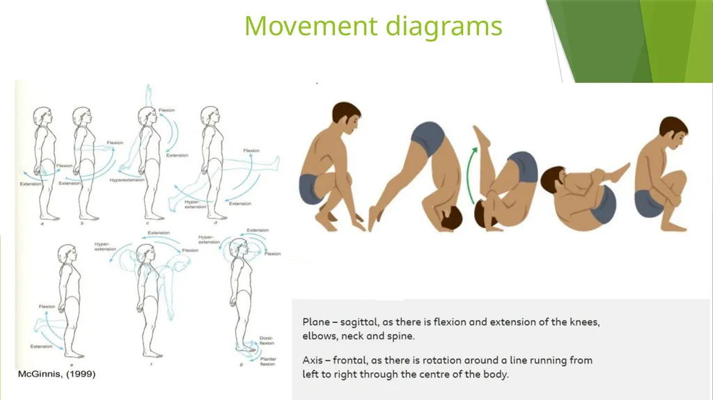 Axis and Plane Dr. Subhas Chandra Nandi Anatomical - slide 6 of 15