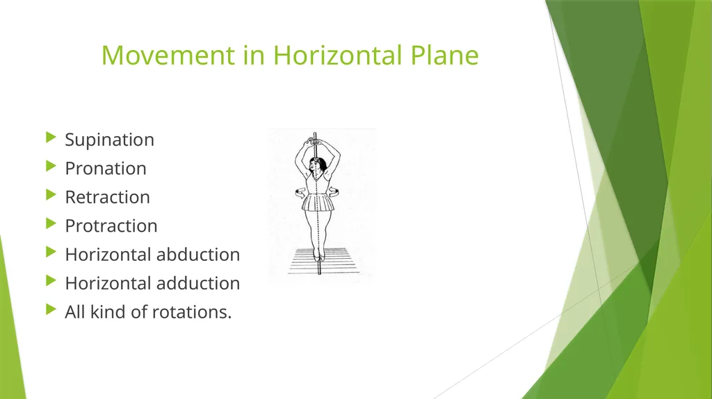 Axis and Plane Dr. Subhas Chandra Nandi Anatomical - slide 8 of 15