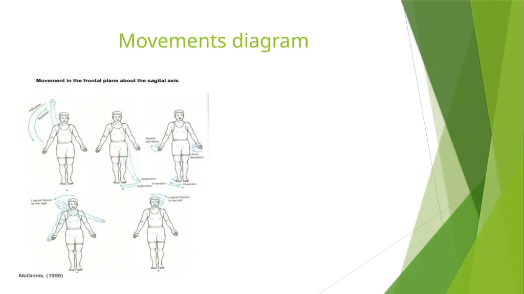 Axis and Plane Dr. Subhas Chandra Nandi Anatomical - slide 12 of 15