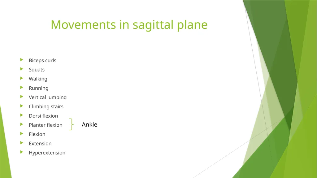 Axis and Plane Dr. Subhas Chandra Nandi Anatomical - slide 5 of 15