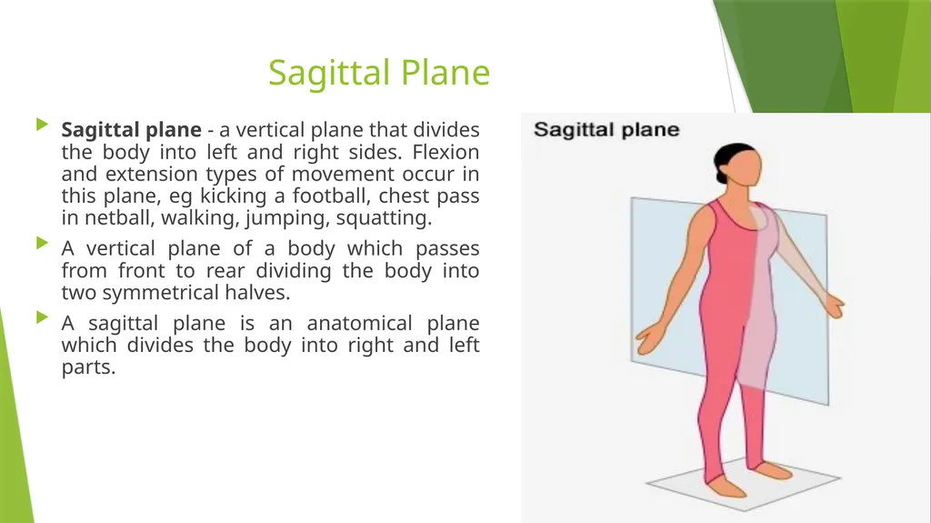 Axis and Plane Dr. Subhas Chandra Nandi Anatomical - slide 4 of 15