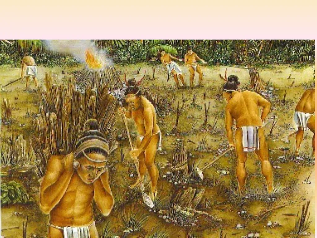 The Olmec Civilization By: Kari Seres, Ginger - slide 19 of 20