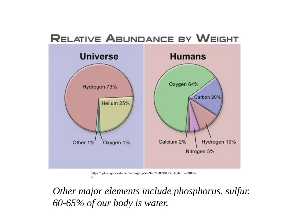 BIO 201 : Introduction to Biochemistry & - slide 18 of 26