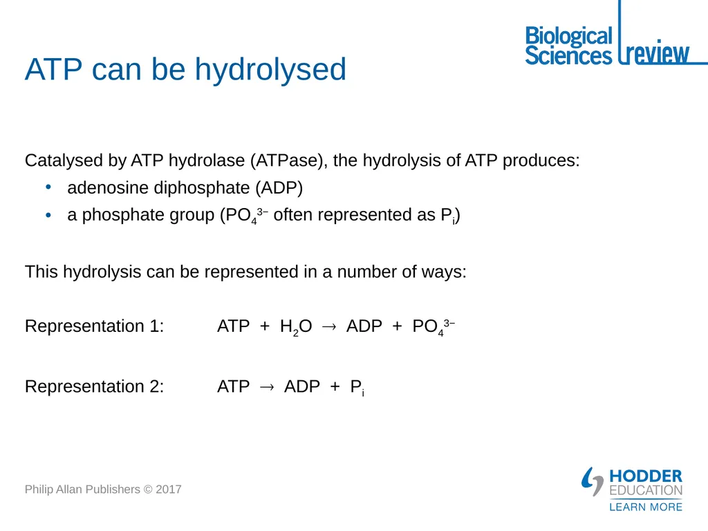 ATP What is it? Why is it important? How is - slide 5 of 21