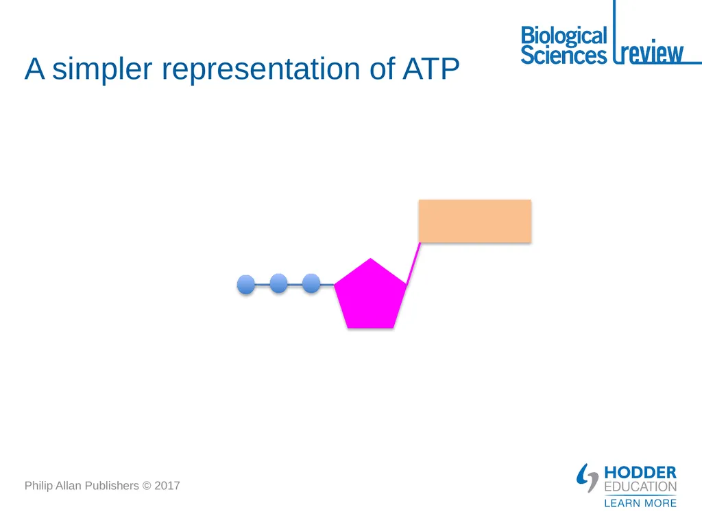 ATP What is it? Why is it important? How is - slide 4 of 21
