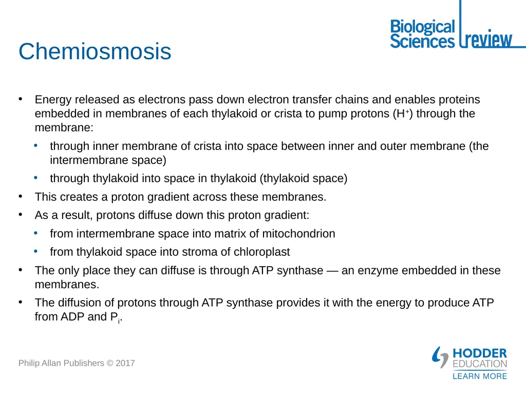 ATP What is it? Why is it important? How is - slide 18 of 21