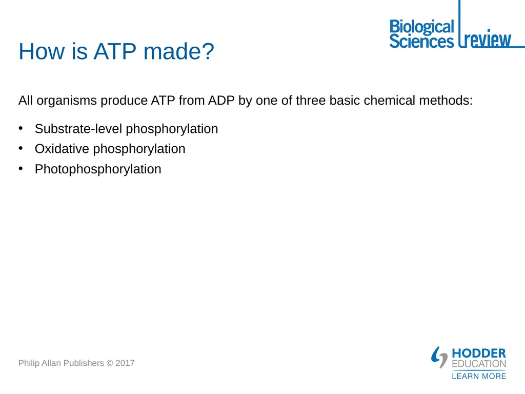 ATP What is it? Why is it important? How is - slide 11 of 21