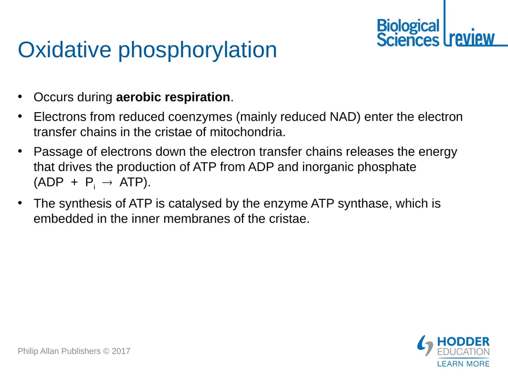 ATP What is it? Why is it important? How is - slide 15 of 21
