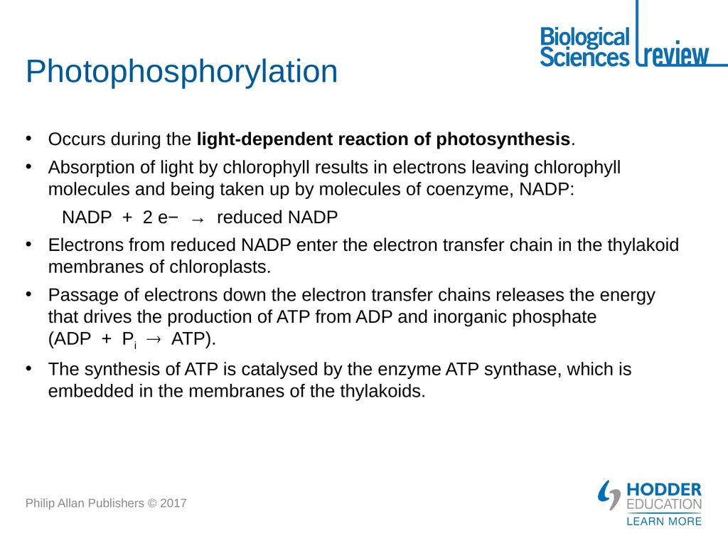 ATP What is it? Why is it important? How is - slide 16 of 21