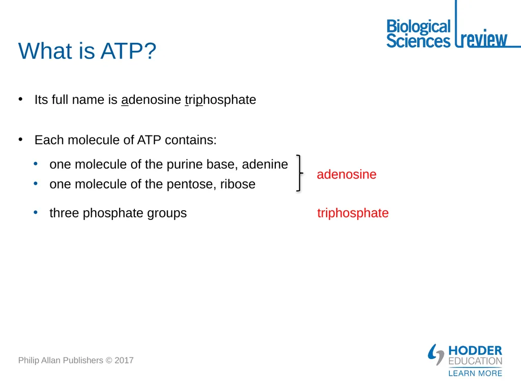 ATP What is it? Why is it important? How is - slide 2 of 21