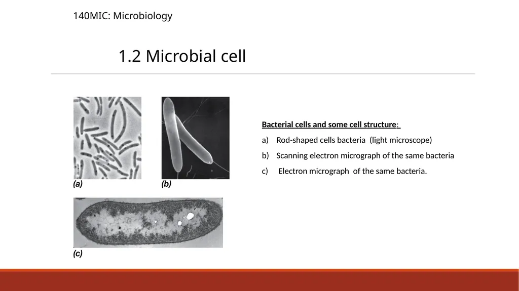 140MIC: Microbiology Lecture-2 Principles of - slide 9 of 16