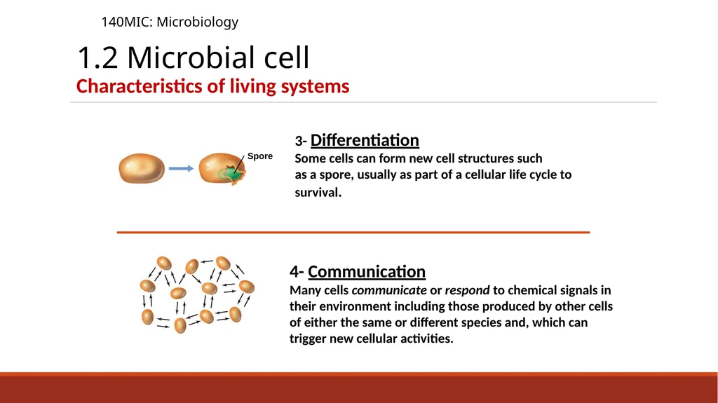 140MIC: Microbiology Lecture-2 Principles of - slide 11 of 16