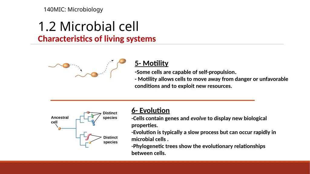 140MIC: Microbiology Lecture-2 Principles of - slide 12 of 16
