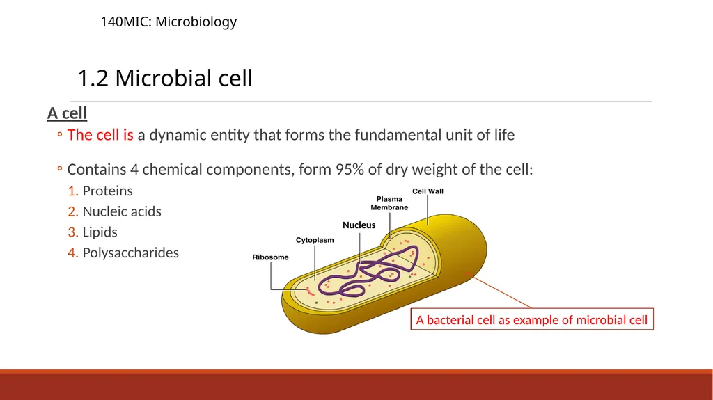 140MIC: Microbiology Lecture-2 Principles of - slide 6 of 16