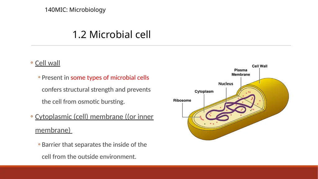 140MIC: Microbiology Lecture-2 Principles of - slide 7 of 16