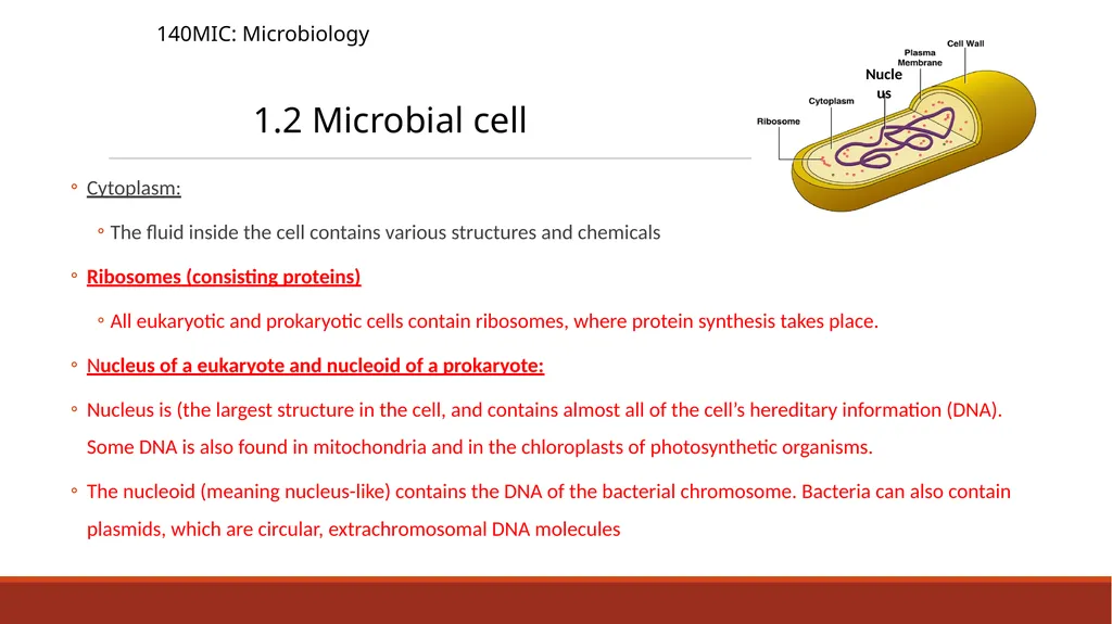 140MIC: Microbiology Lecture-2 Principles of - slide 8 of 16