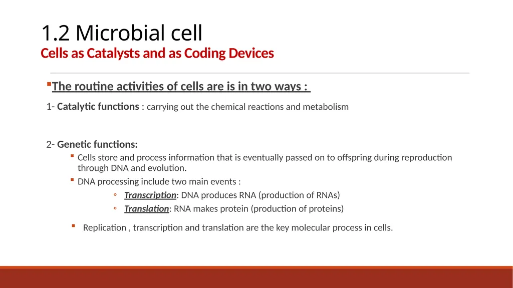 140MIC: Microbiology Lecture-2 Principles of - slide 13 of 16