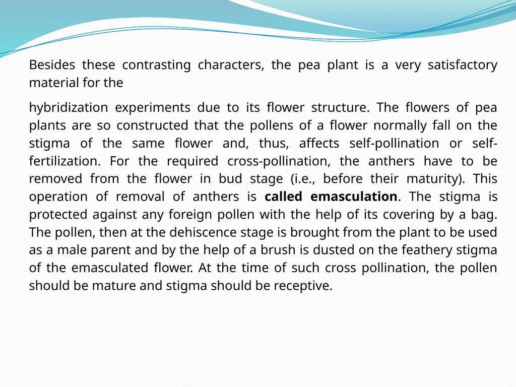 genetic course lecture (2) Mendelian Genetic, Cell - slide 10 of 21
