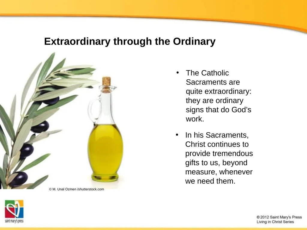The Seven Catholic Sacraments The Sacraments - slide 20 of 20