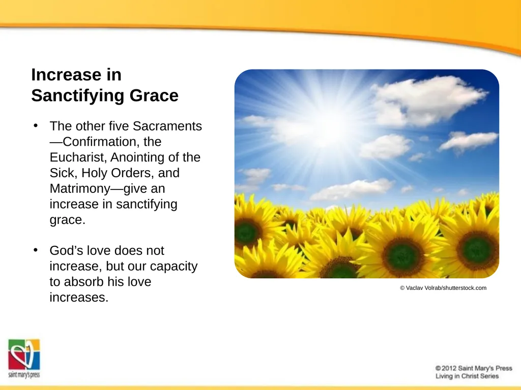 The Seven Catholic Sacraments The Sacraments - slide 14 of 20