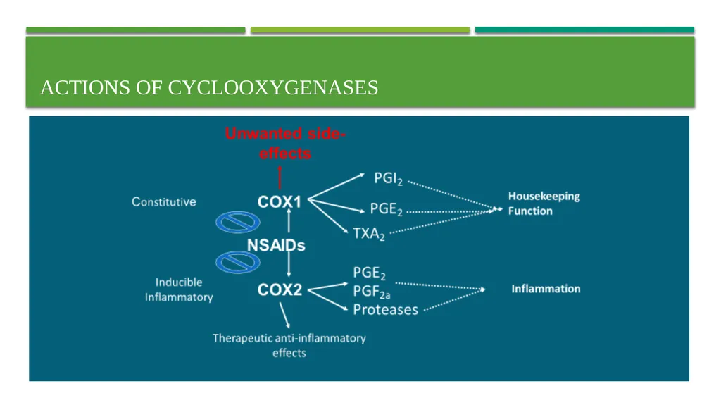 Eicosanoids (Prostaglandins, Leukotrienes) and - slide 9 of 31