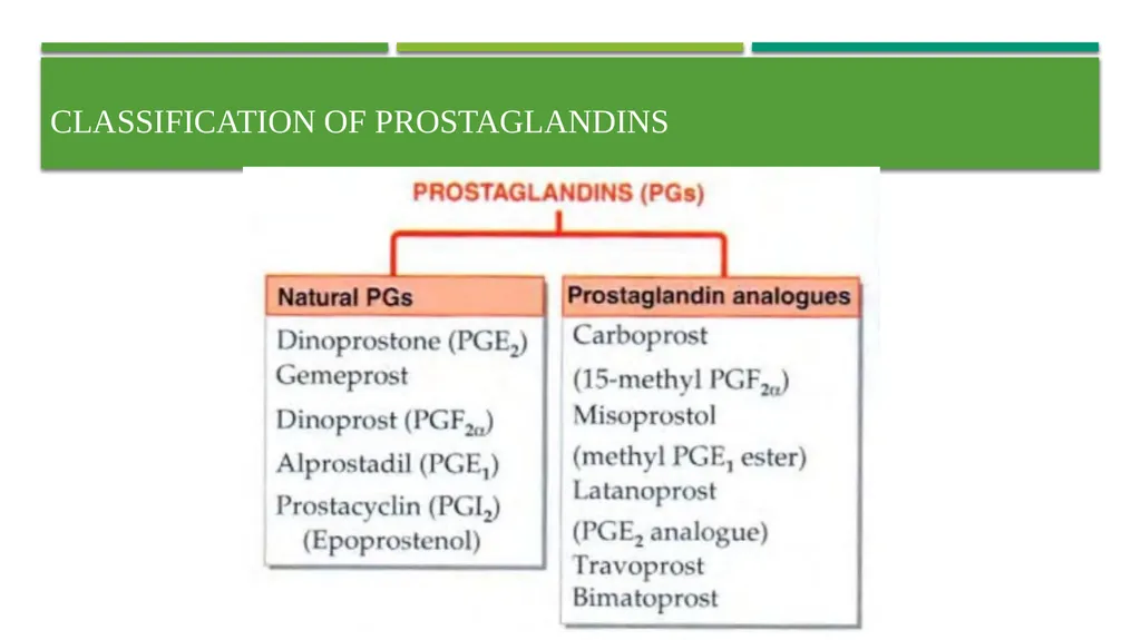 Eicosanoids (Prostaglandins, Leukotrienes) and - slide 10 of 31