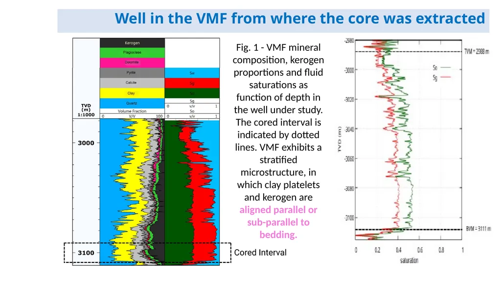 Estimation of the stiffness tensor in organic-rich - slide 3 of 20