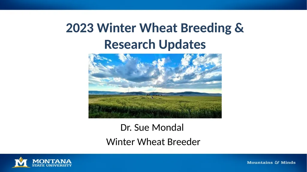 2023 Winter Wheat Breeding & Research Updates Dr. - slide 1 of 21