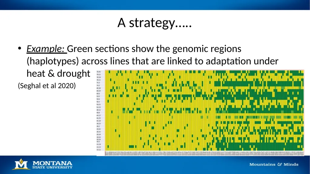 2023 Winter Wheat Breeding & Research Updates Dr. - slide 9 of 21