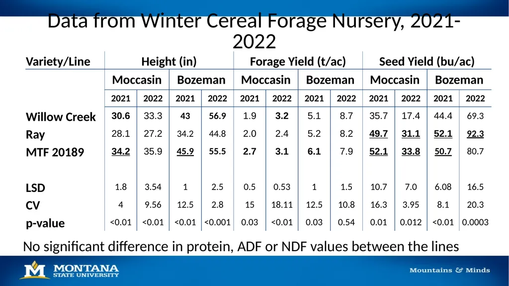 2023 Winter Wheat Breeding & Research Updates Dr. - slide 20 of 21