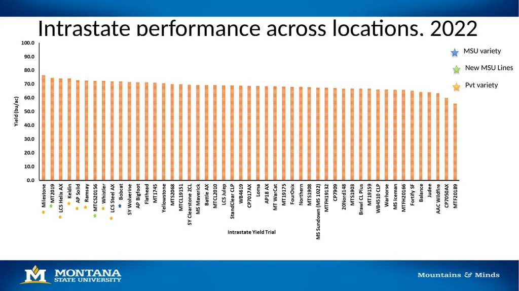 2023 Winter Wheat Breeding & Research Updates Dr. - slide 16 of 21