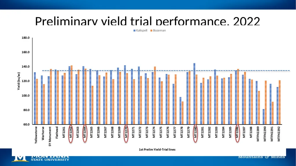 2023 Winter Wheat Breeding & Research Updates Dr. - slide 18 of 21