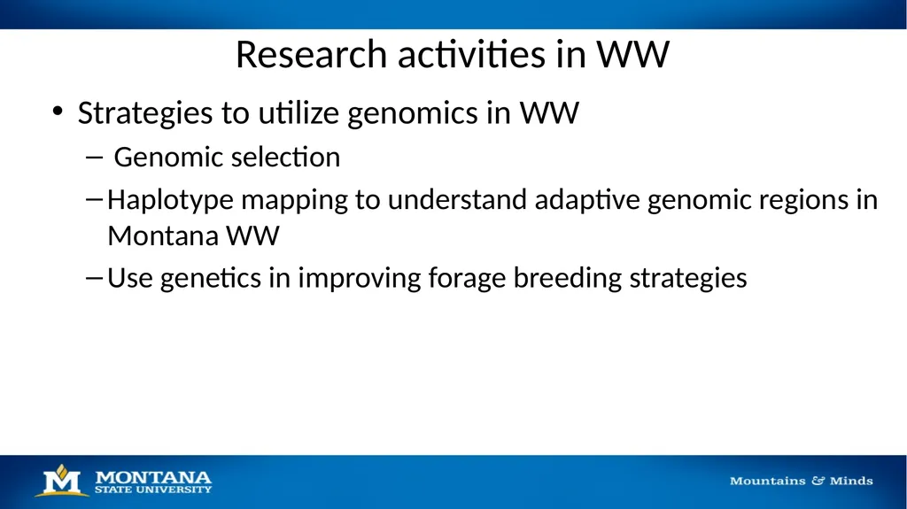 2023 Winter Wheat Breeding & Research Updates Dr. - slide 8 of 21