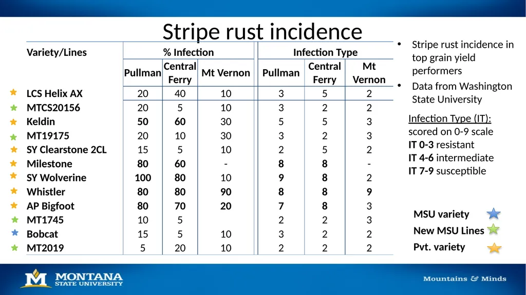 2023 Winter Wheat Breeding & Research Updates Dr. - slide 17 of 21