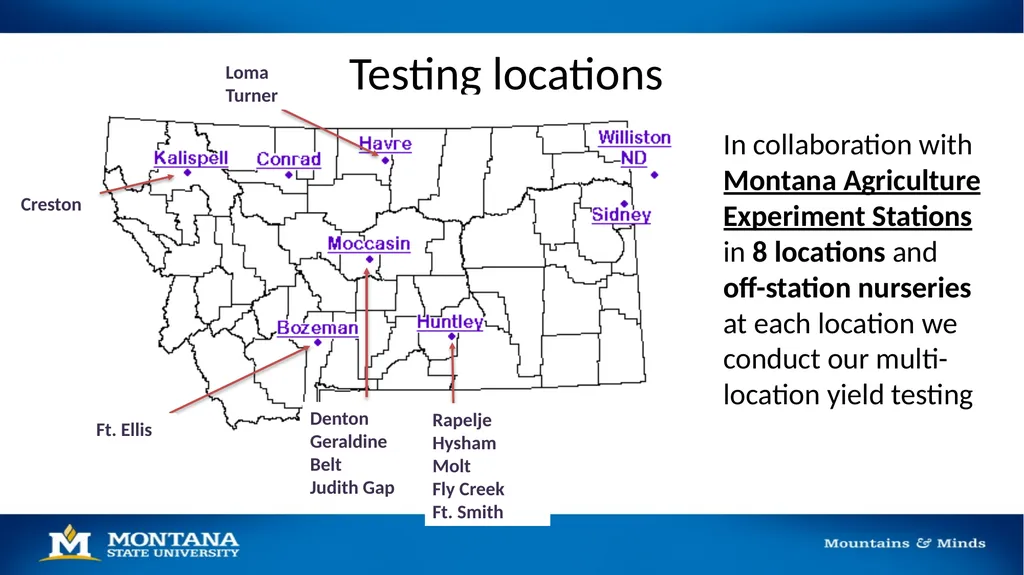 2023 Winter Wheat Breeding & Research Updates Dr. - slide 13 of 21