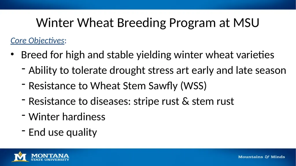 2023 Winter Wheat Breeding & Research Updates Dr. - slide 3 of 21