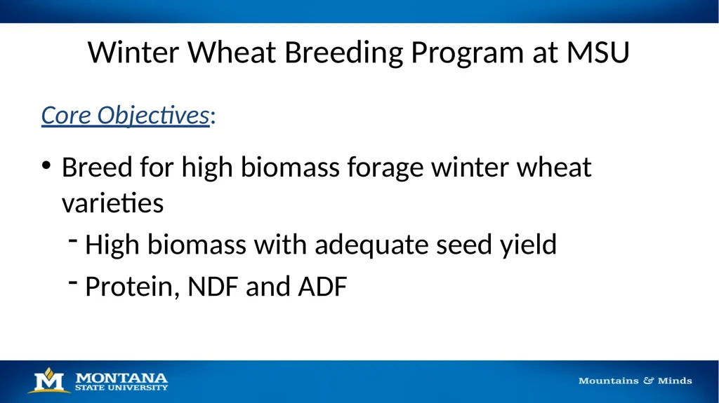 2023 Winter Wheat Breeding & Research Updates Dr. - slide 4 of 21