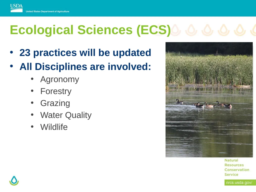 ECS Practice Standard Update Ryan Galbreath State - slide 2 of 17
