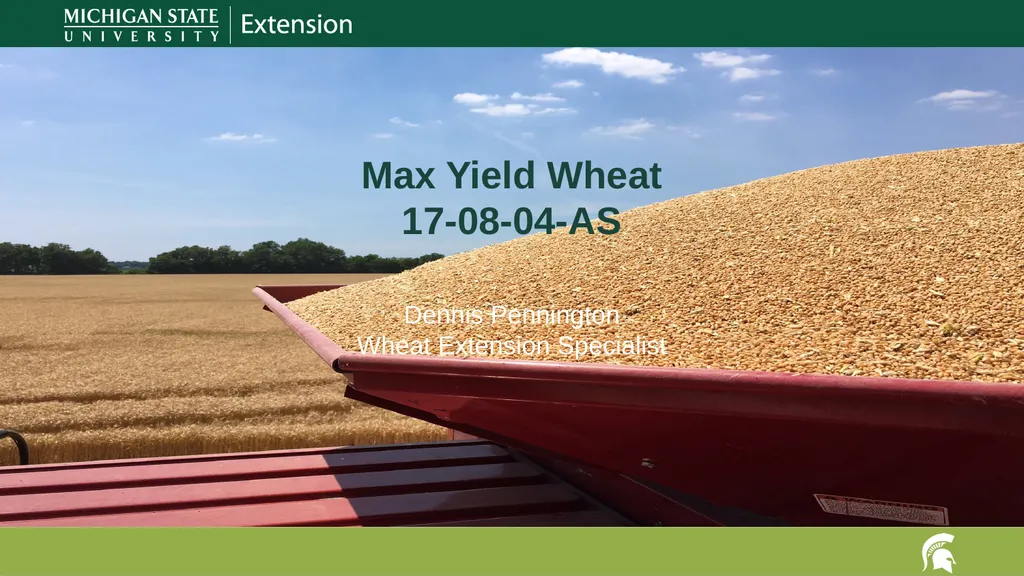 Max Yield Wheat 17-08-04-AS Dennis Pennington - slide 1 of 6