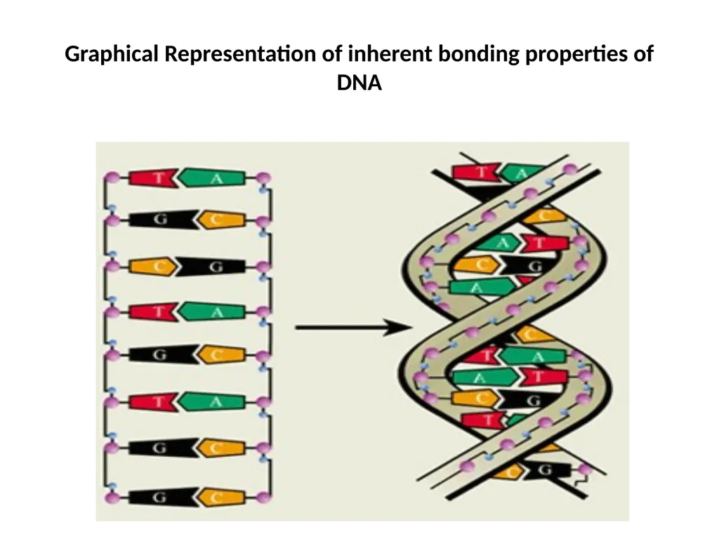 Nucleic Acid Structure Many thanks to Dave Bevan - slide 3 of 11